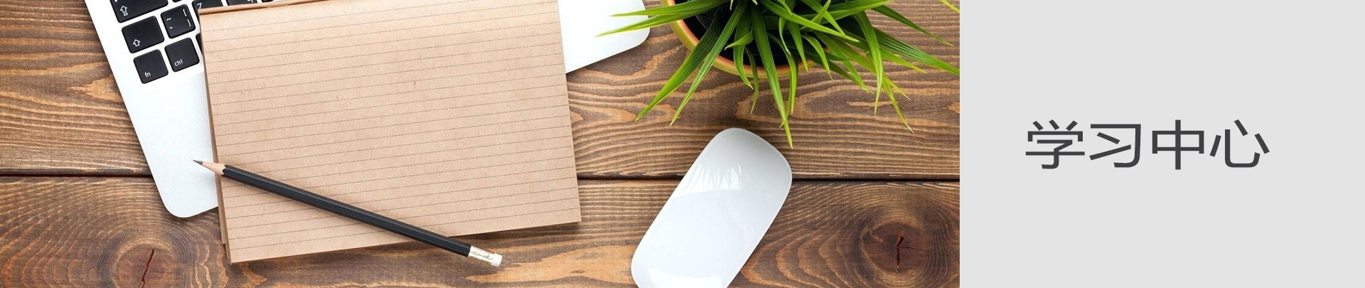 雷竞技最新官方入口