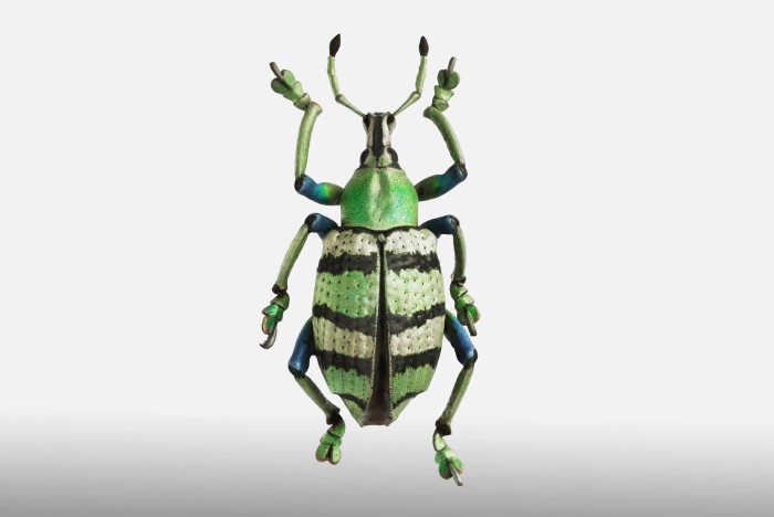 雷竞技下载链接