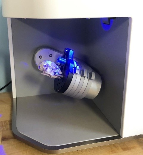 Artec Micro数分钟完成松鼠头骨的3D彩色亚毫米级捕获