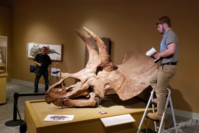 当远古时代遇上高科技——Artec Leo与恐龙头骨面对面